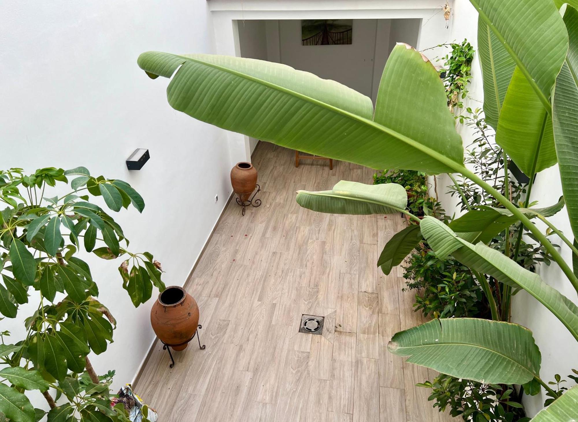 Calma Places - Triana Appartement *